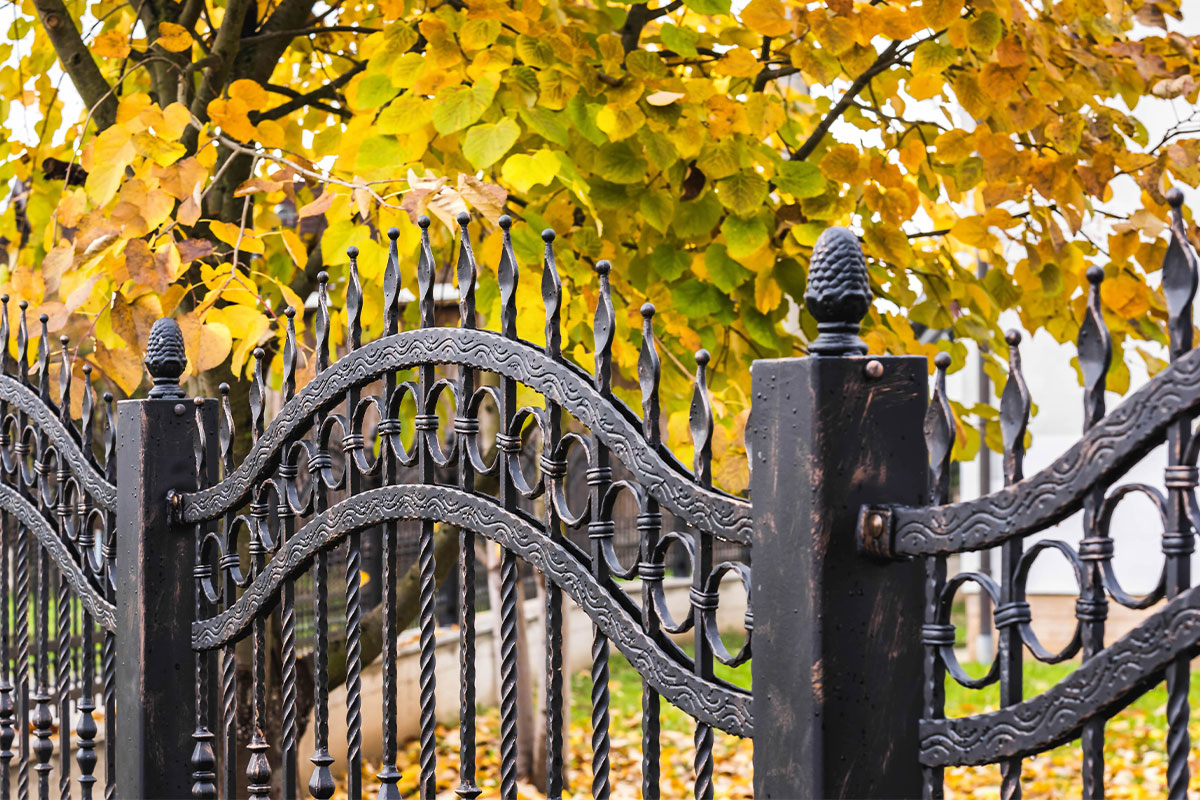 iron fence by a tree in Los Angeles.